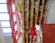 DSCN0219